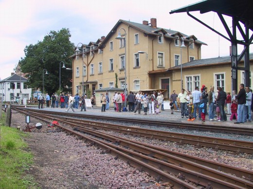 Eiche vor dem Bahnhof Dippoldiswalde