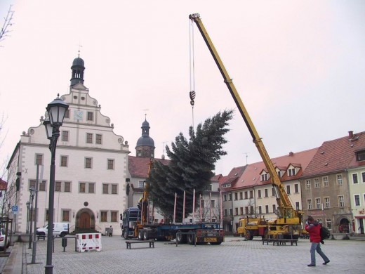 Der Dippser Weihnachtsbaum steht gleich