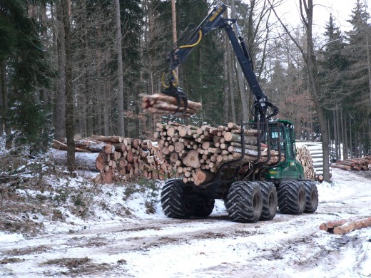 Holzernte (Foto: Forstbezirk Bärenfels I Abt. Privat- und Körperschaftswald)