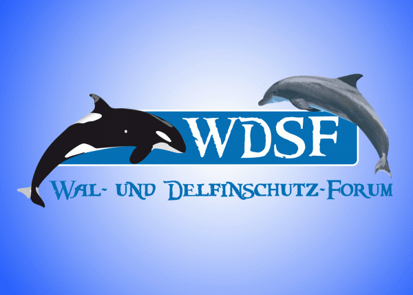 Logo_3_wdsf