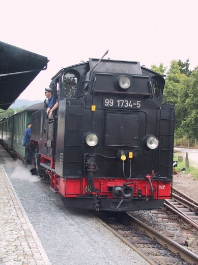 Weisseritztalbahn im Dippser Bahnhof